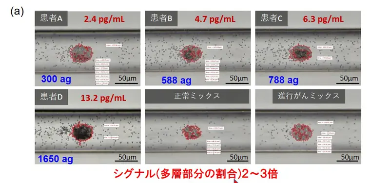 (a)大腸がん患者由来の希釈血漿中CEAを標的としたMF-LAC-SYS の測定例(光学透過像)