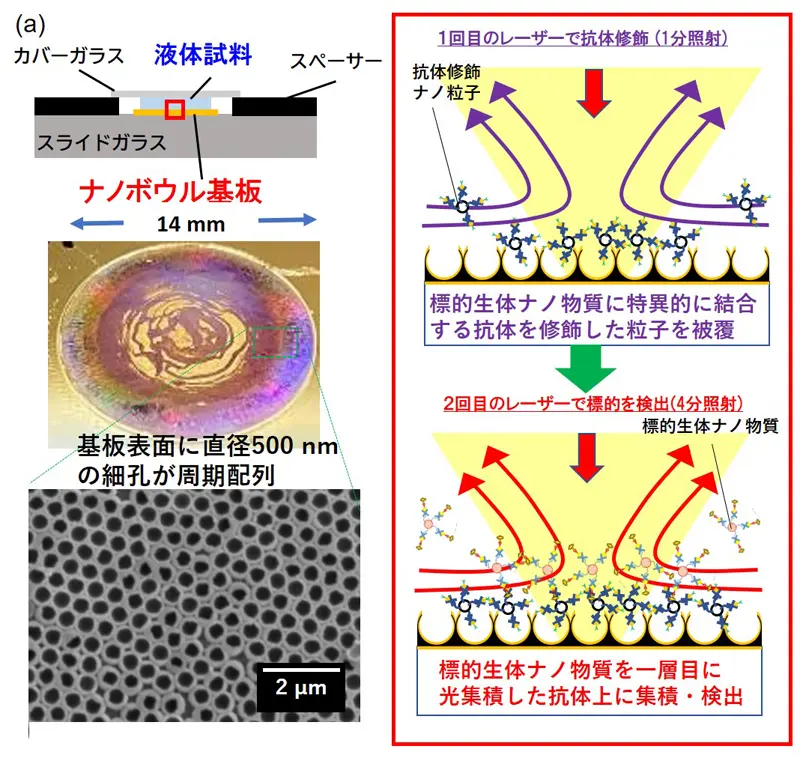  (a)ナノボウル光濃縮基板の概念図と写真、および走査型電子顕微鏡(SEM)像(左図)、および2ステップ法の概略(右図)。